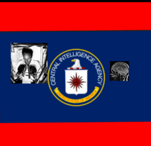 Screenshot_20250816-155438.InCollage - Collage Maker