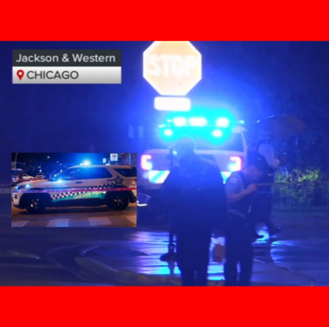 Screenshot_20250817-081840.InCollage - Collage Maker