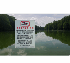 Screenshot_20250817-200229.Photos