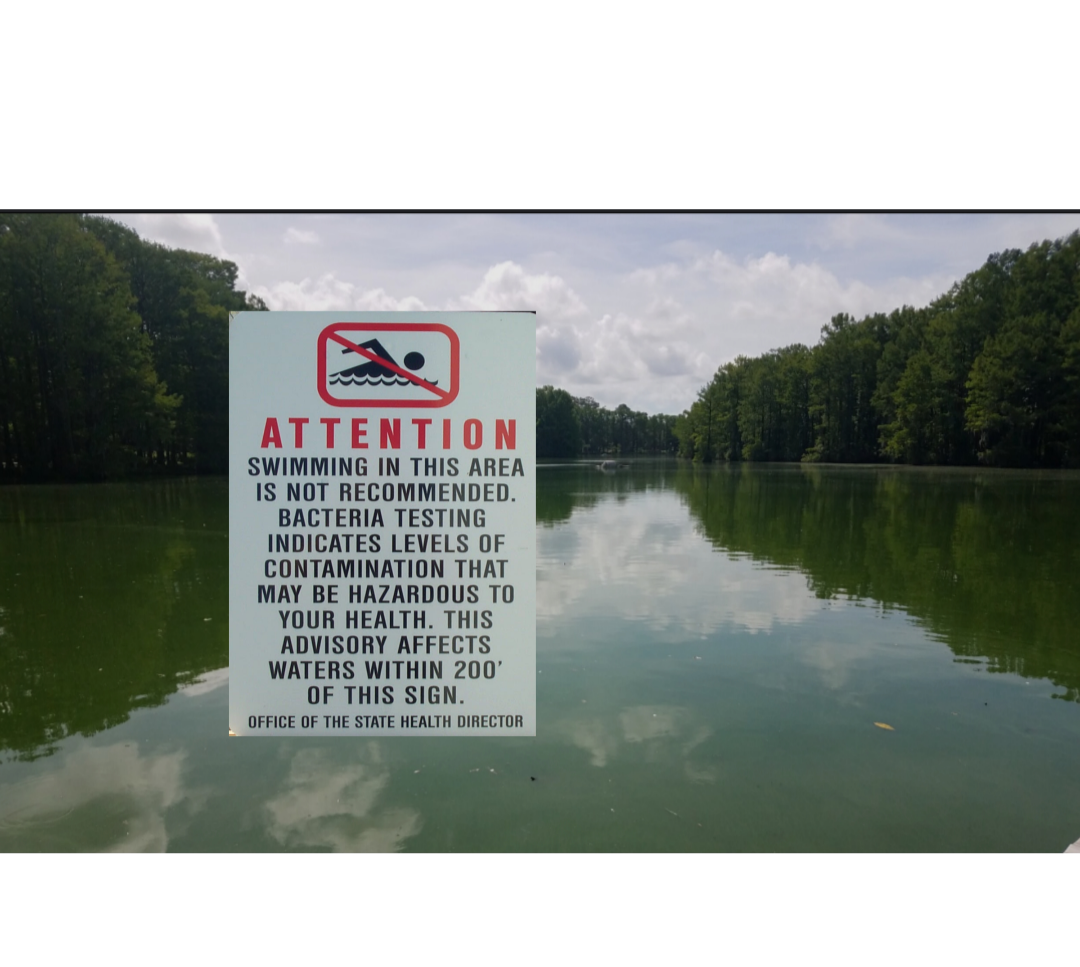 Screenshot_20250817-200229.Photos