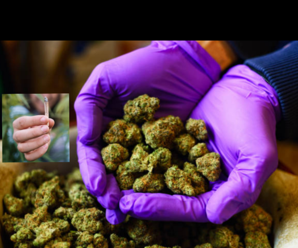 Screenshot_20250907-092818.InCollage - Collage Maker