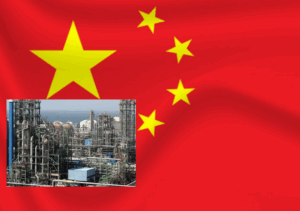 InCollage_20251007_201230353