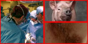 InCollage_20251009_083820437