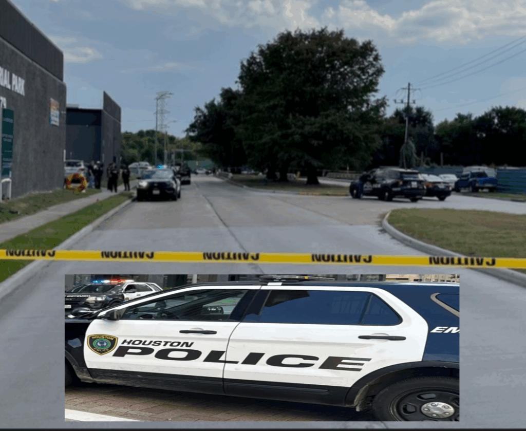 InCollage_20251009_092239676