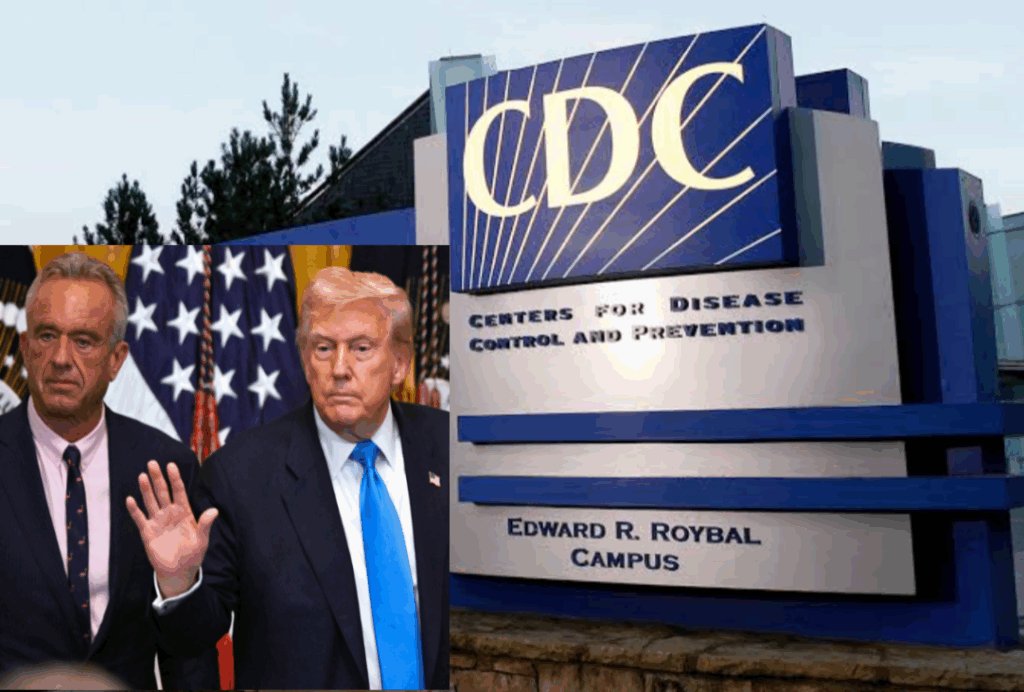 InCollage_20251012_094638200