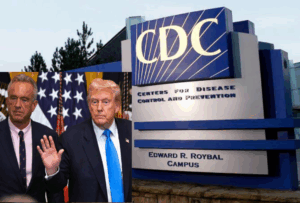 InCollage_20251012_094638200