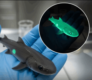 Screenshot_20251005-192515.Facebook