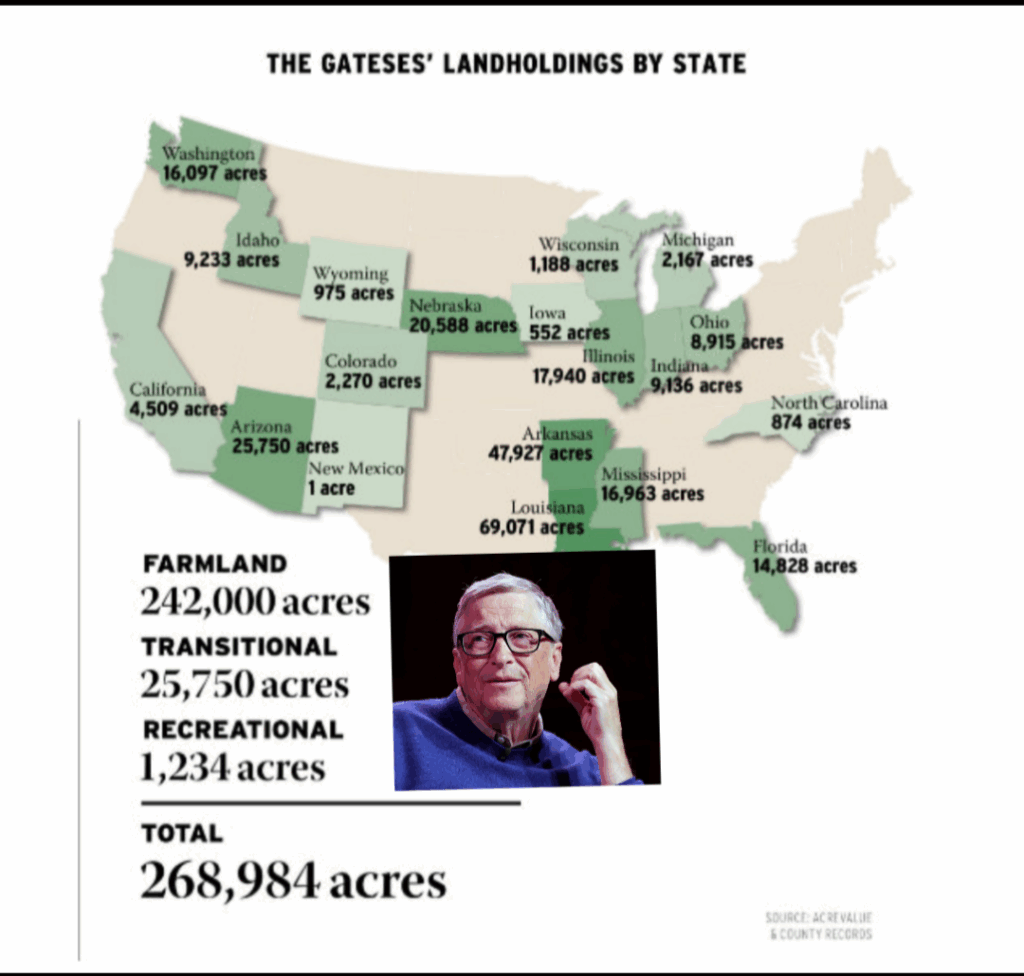 Screenshot_20251007-204549.InCollage - Collage Maker