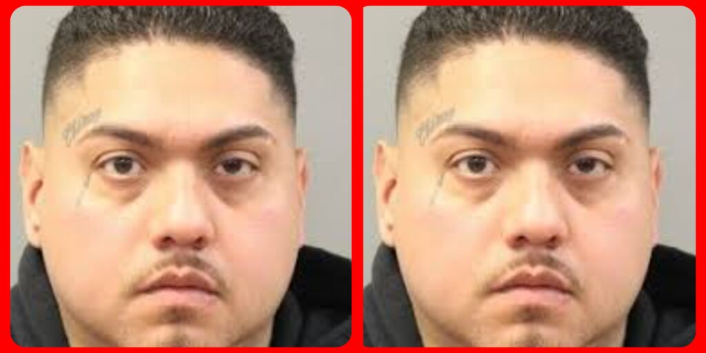 InCollage_20251112_171042953