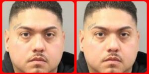 InCollage_20251112_171042953