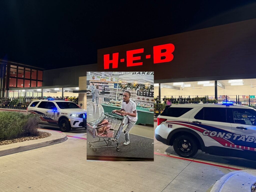 InCollage_20251115_110408367