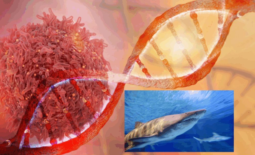 InCollage_20251116_090831209