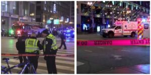 InCollage_20251122_094144238