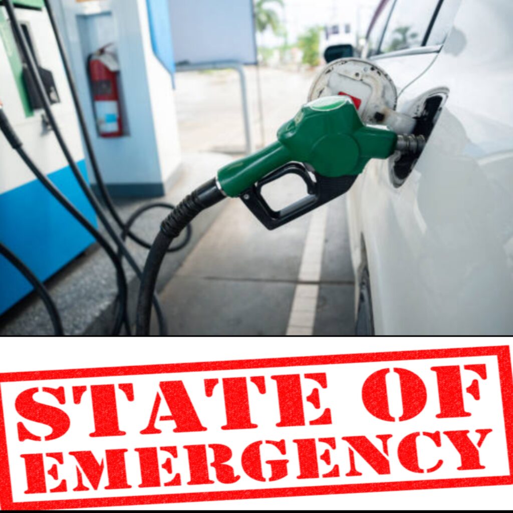 InCollage_20251125_200240843