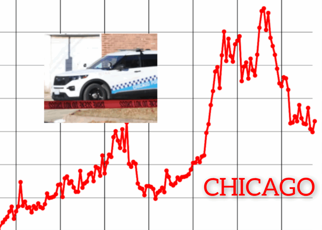 InCollage_20251130_133341978