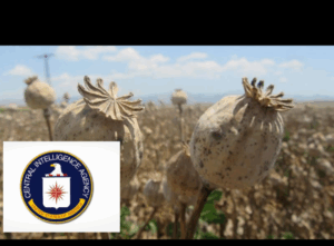 Screenshot_20251112-183207.InCollage - Collage Maker