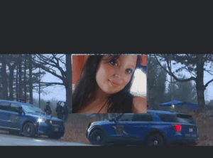 Screenshot_20251125-180144.InCollage - Collage Maker