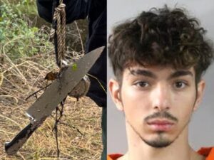 FB_IMG_1766235658898