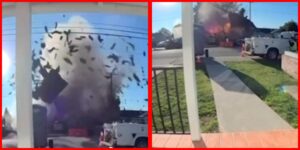 InCollage_20251211_171544629