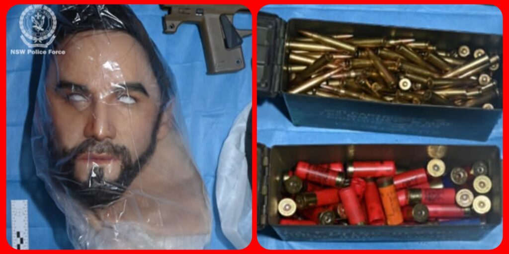 InCollage_20251214_131544099