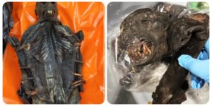 InCollage_20251222_175750025