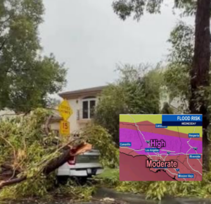 InCollage_20251224_195938774