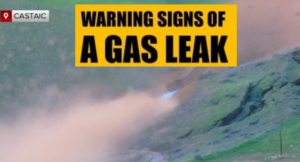 InCollage_20251228_092021509