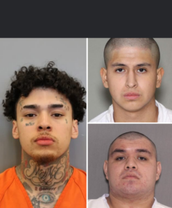 Screenshot_20251211-054156.InCollage - Collage Maker