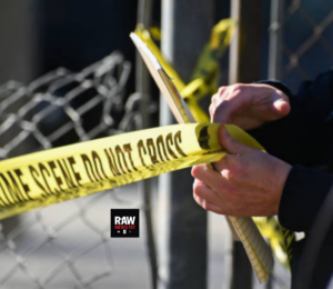 InCollage_20260111_114723092