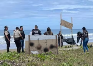 InCollage_20260112_162422526