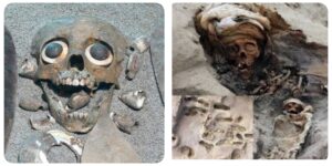 InCollage_20260118_124227378