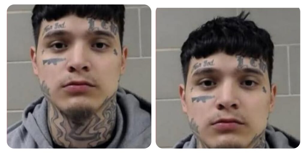 InCollage_20260121_164315463