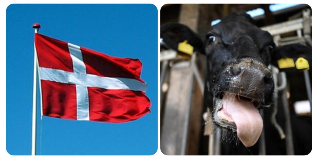 InCollage_20260123_193148711