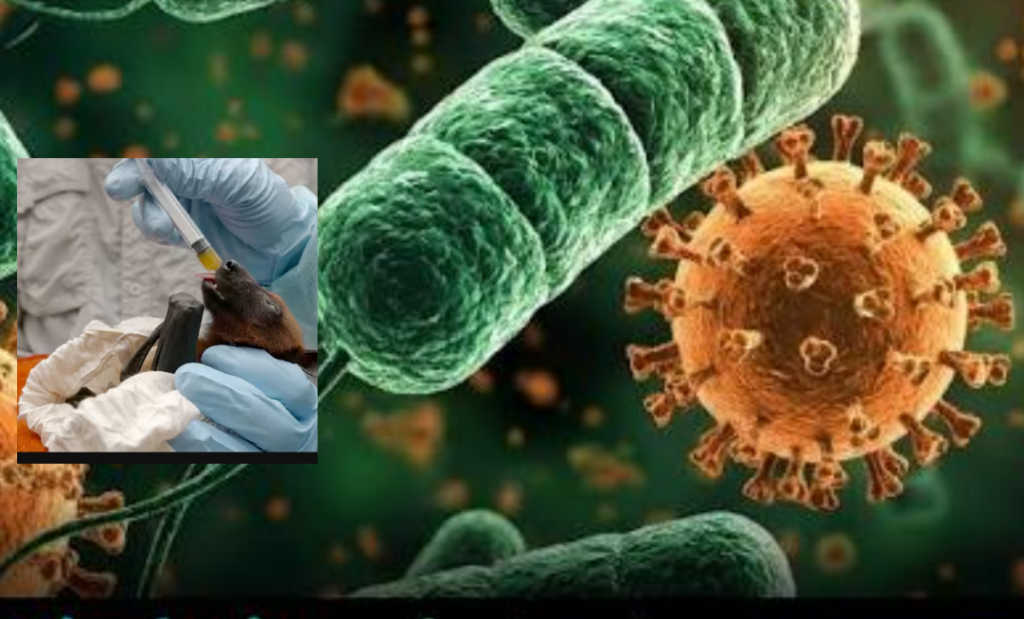 InCollage_20260124_061808557