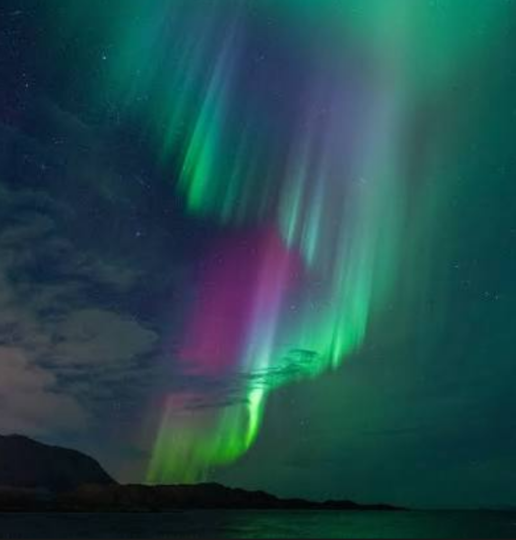 Screenshot_20260119-164117.Google