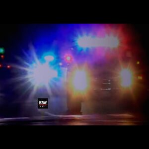 InCollage_20260131_195559969