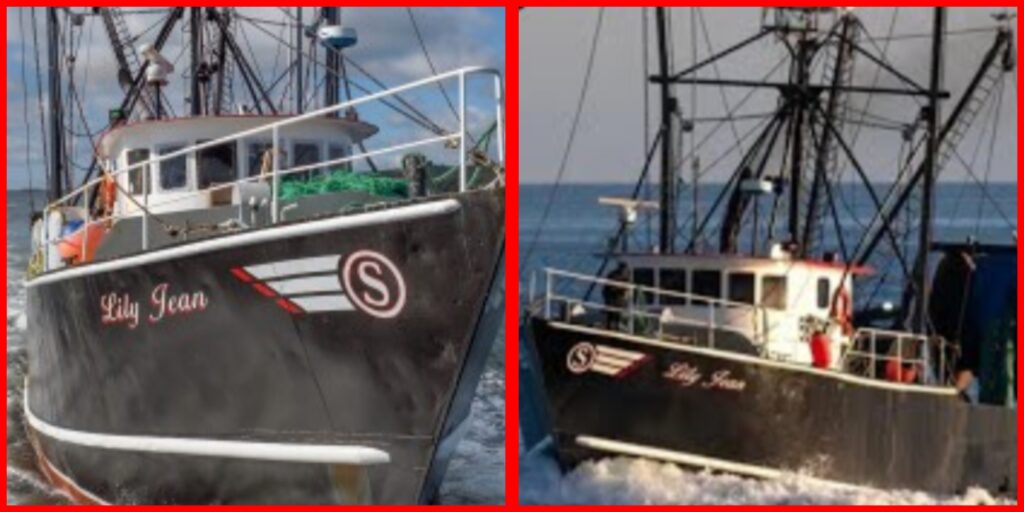 InCollage_20260202_193600457