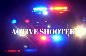 InCollage_20260210_183423483