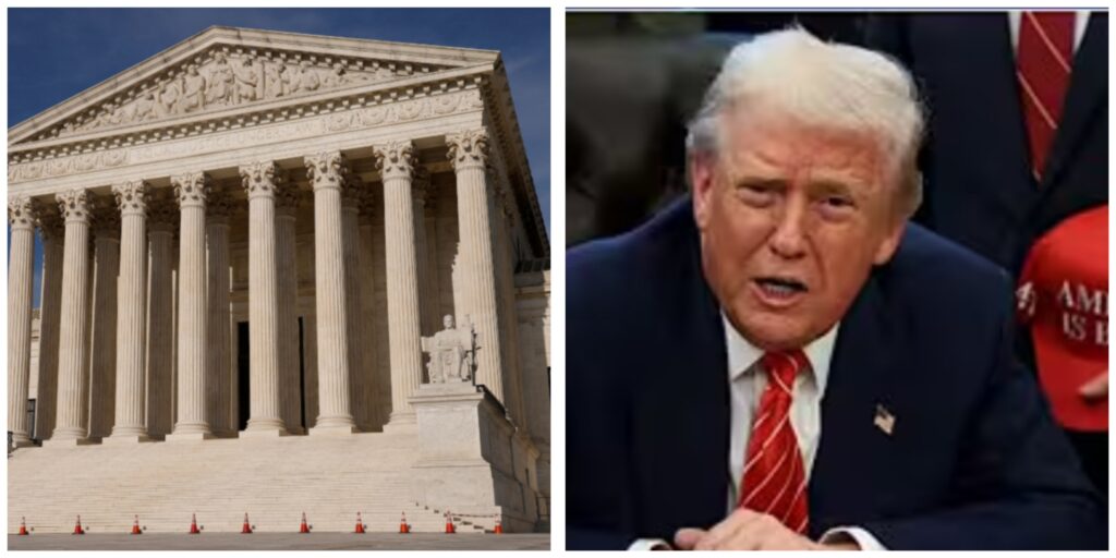 InCollage_20260220_102640184