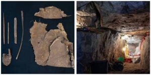 InCollage_20260221_120119504