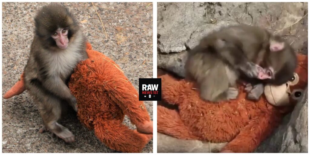 InCollage_20260221_122738493