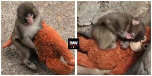 InCollage_20260221_122738493