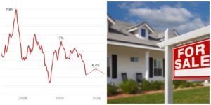 InCollage_20260223_162626498