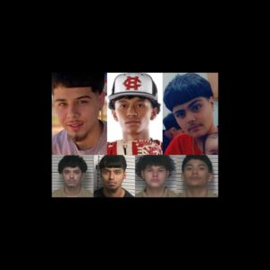 InCollage_20260226_164920388