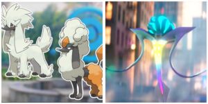 InCollage_20260228_055624996