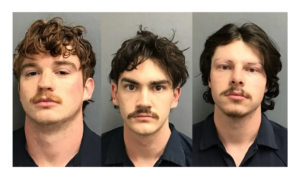 Screenshot_20260201-201710.Chrome