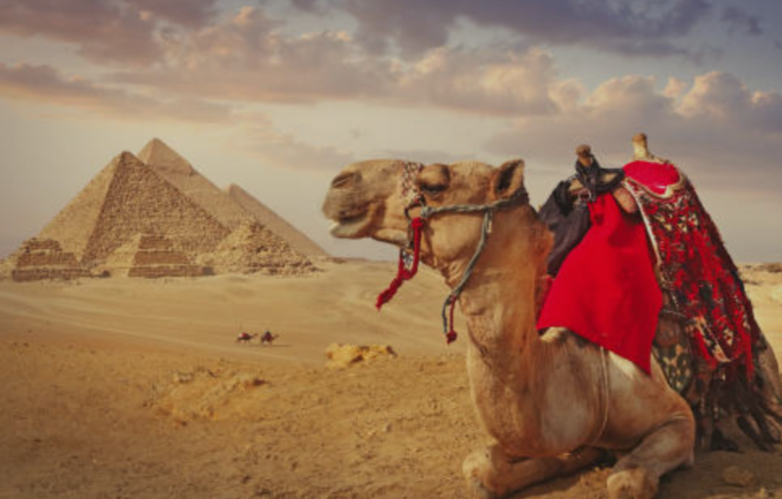 Screenshot_20260220-140851.Chrome