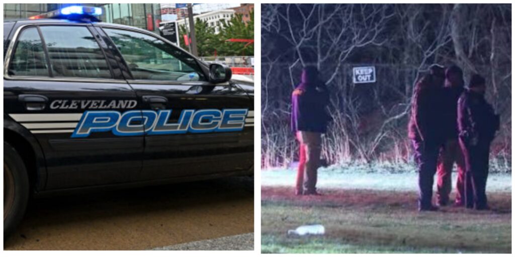 InCollage_20260304_204404539