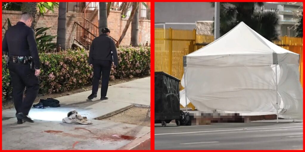 InCollage_20260308_095500637