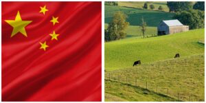 InCollage_20260308_203340253